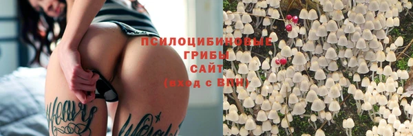 дмт Магадан