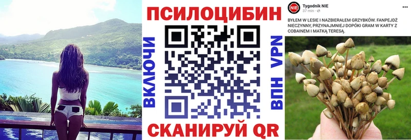 Псилоцибиновые грибы мухоморы  Вихоревка 